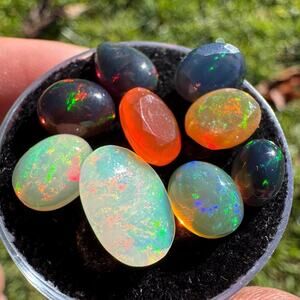 11 carats of Opals in Display Case